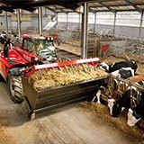 Manitou equipment moving hay for cows