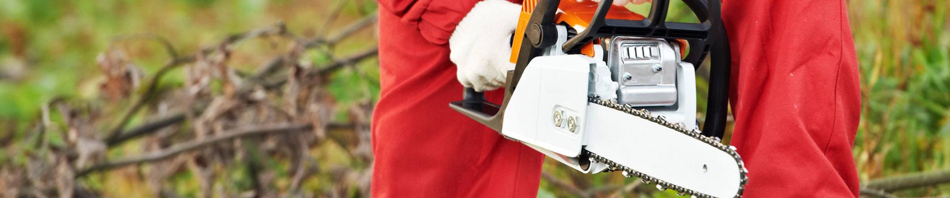 Man chainsaw training in the woods