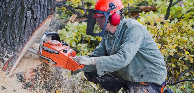 Man using a chainsaw for training