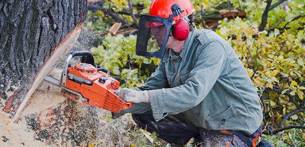 Chainsaw Operation and Safety Training Online - Safetyhub